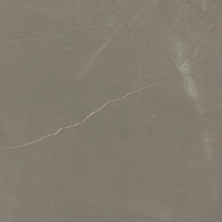 Vloertegels Linearstone Taupe mat 60x60 cm