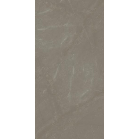 Vloertegels Linearstone Taupe mat 60x120 cm