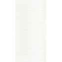 Wandtegels Synergy Bianco inserto 30x60 cm glans