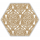 Hexagon Shiny Lines Gold 20x17 cm inserto A