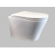 Toiletset Wisa XS inbouwreservoir met drukplaat wit en wc pot GA Rimless met softclose zitting en quickrelease